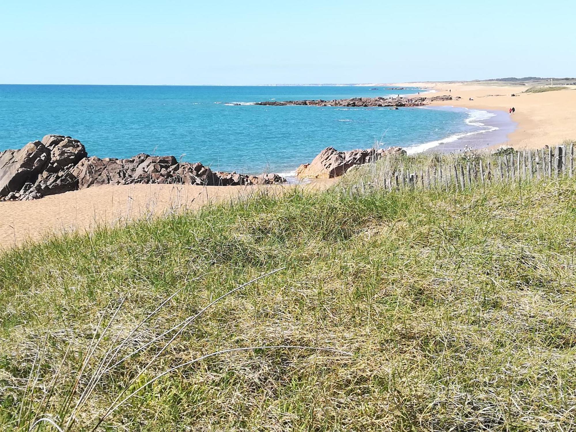 La Salicorne Les Sables-dʼOlonne