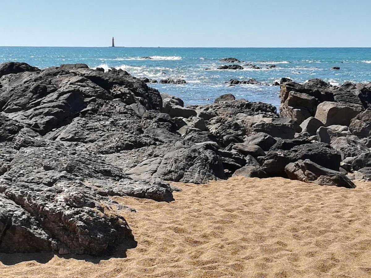La Salicorne Hébergement de vacances