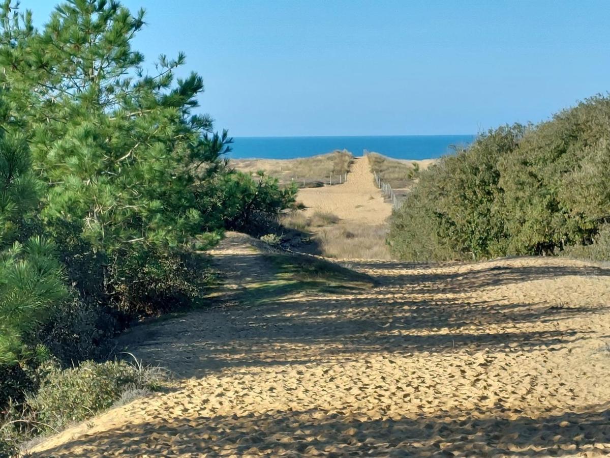 La Salicorne Hébergement de vacances *