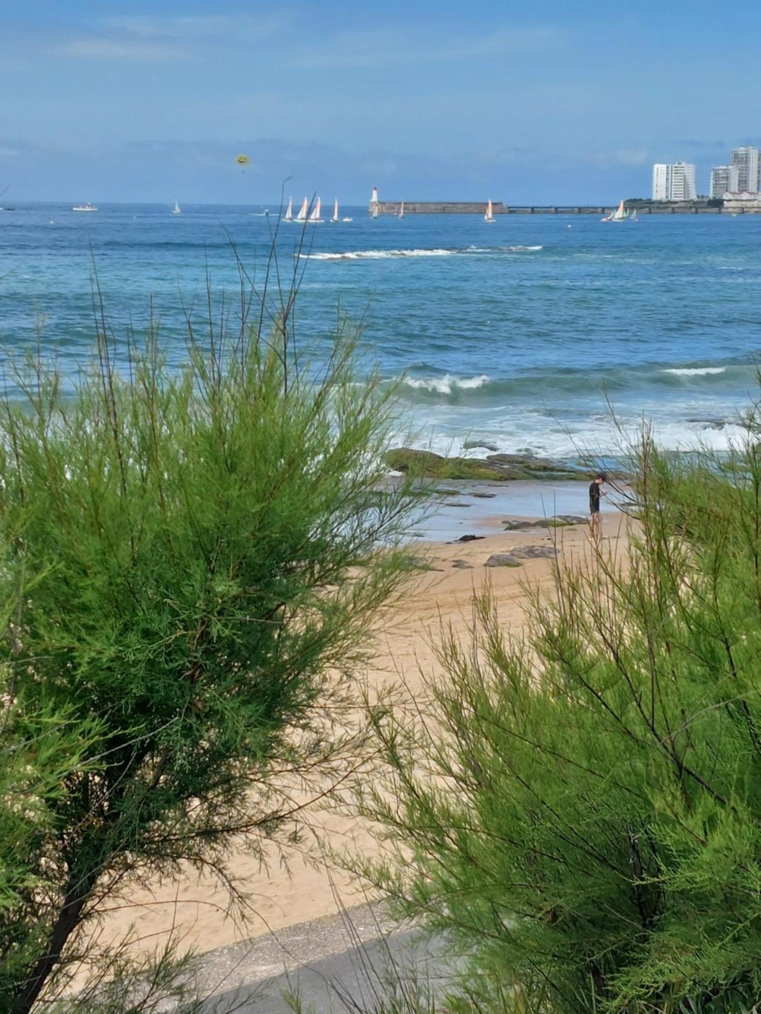 La Salicorne * Les Sables-dʼOlonne