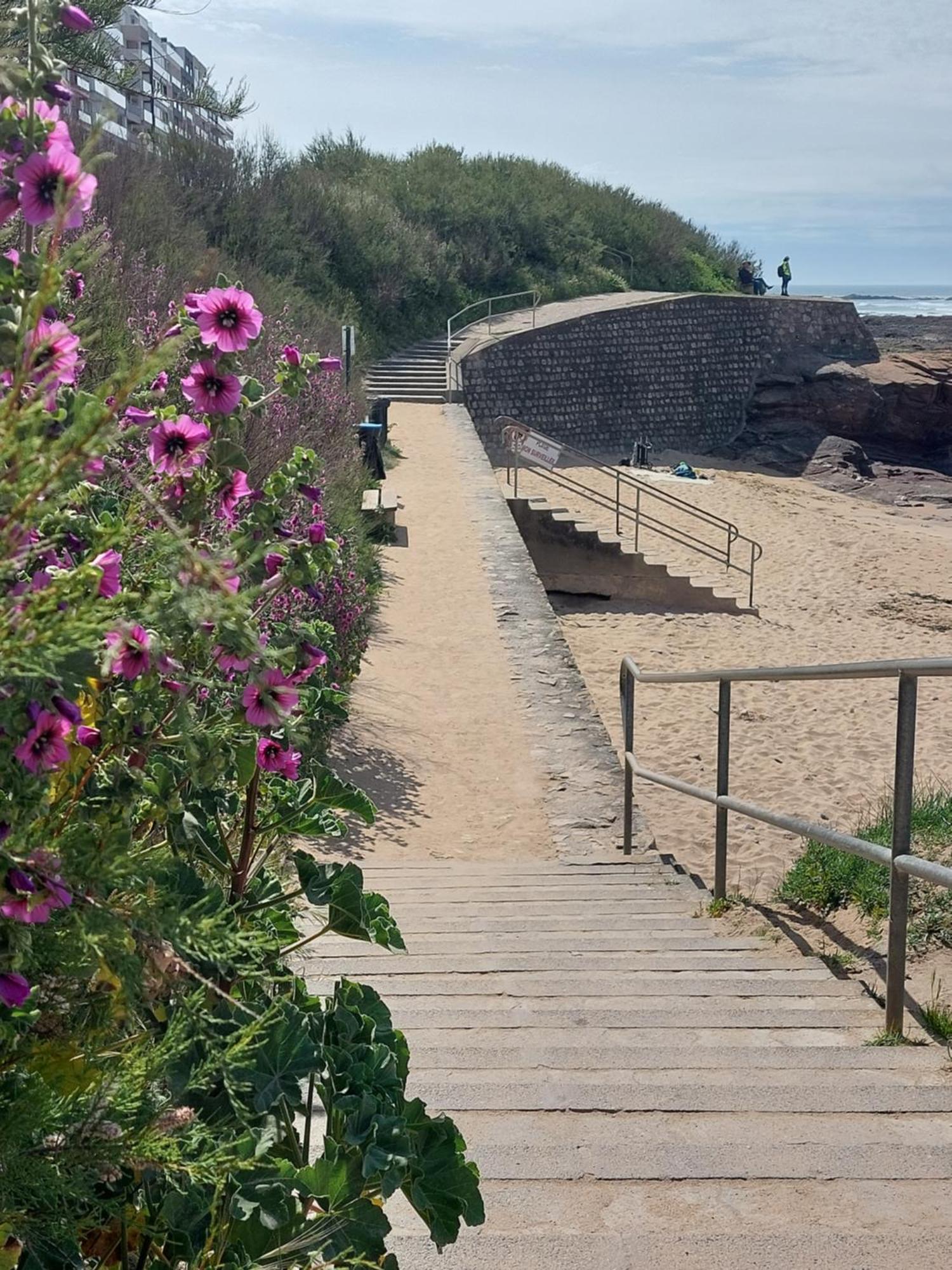 Hébergement de vacances La Salicorne Les Sables-dʼOlonne