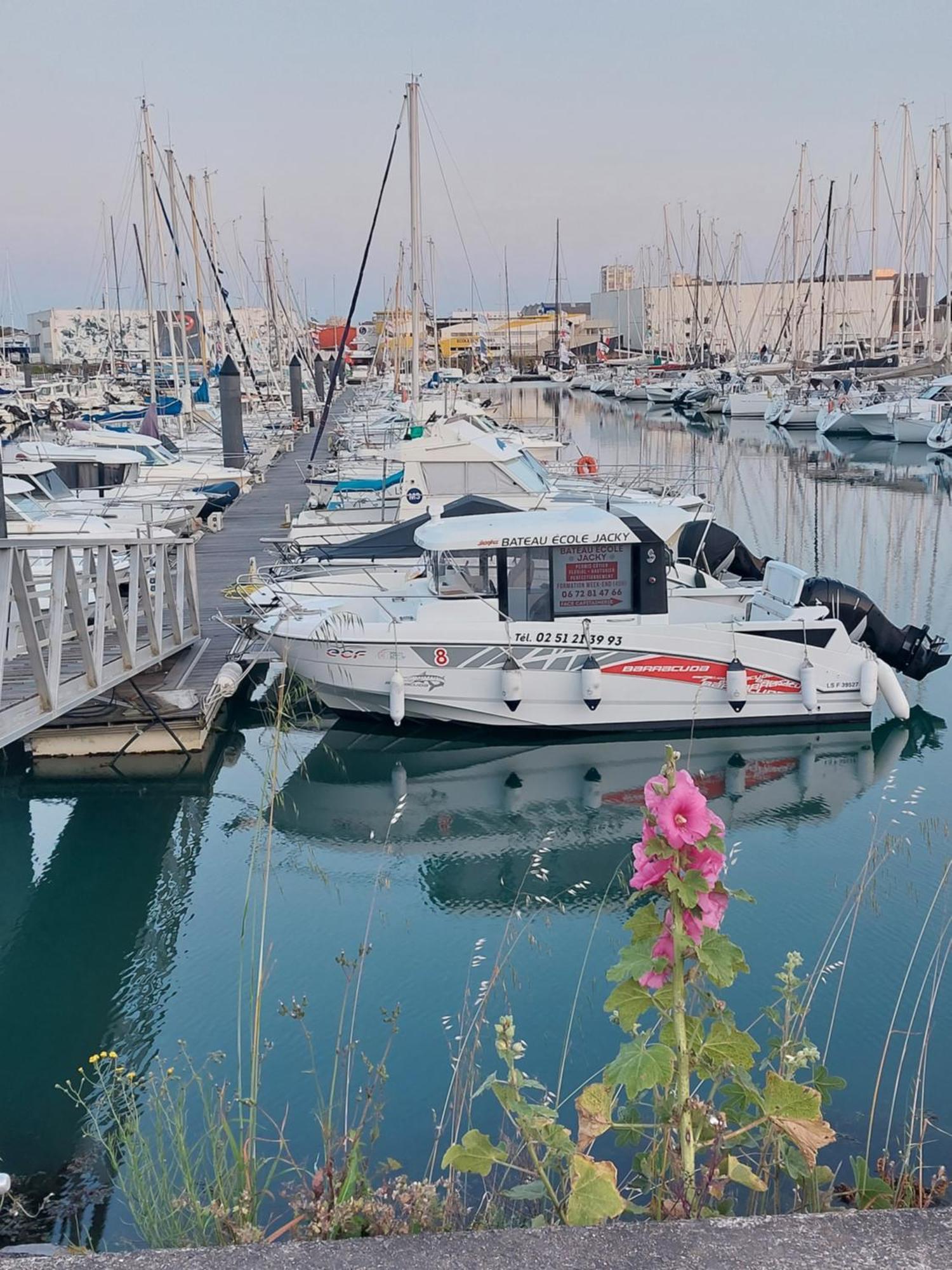 La Salicorne Les Sables-dʼOlonne